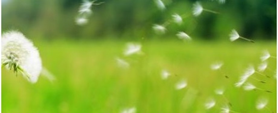 ¿Qué es la rinitis alérgica? Síntomas de la alergia?